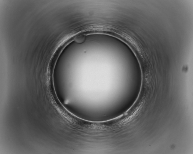 X0000101220981200806271443