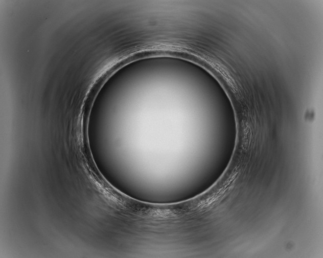 X0000101220982200806271443