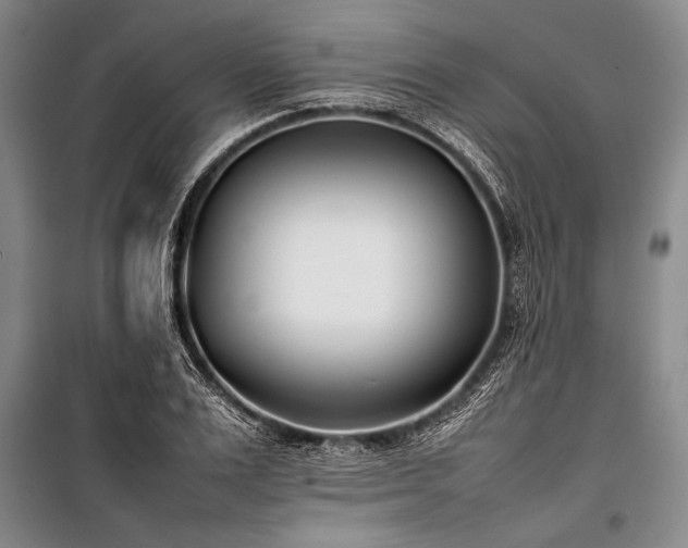 X0000101220983200806271443