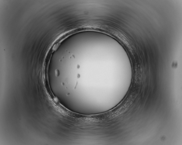 X0000101220984200806271443