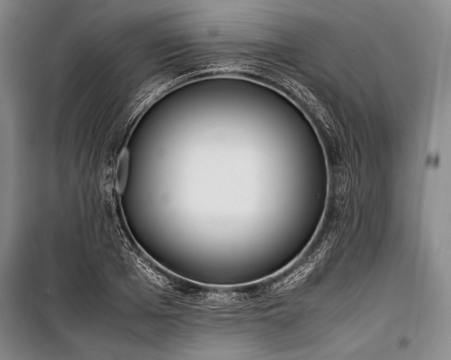 X0000101220985200806271443