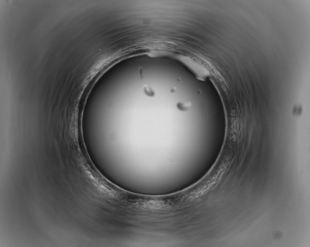 X0000101220986200806271443