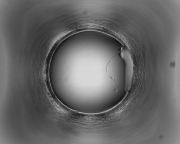 X0000101220987200806271443