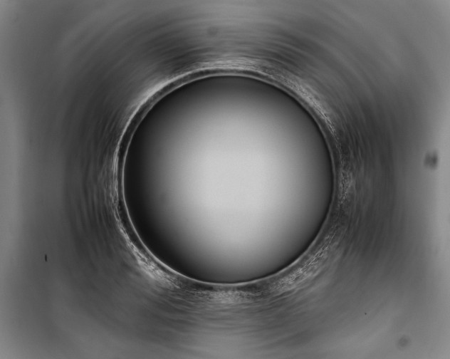 X0000101220988200806271443