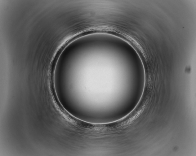 X0000101220989200806271443