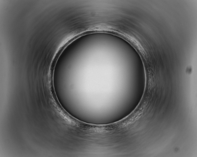 X0000101220990200806271443