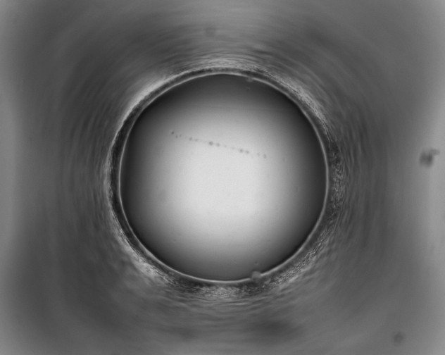 X0000101220991200806271443