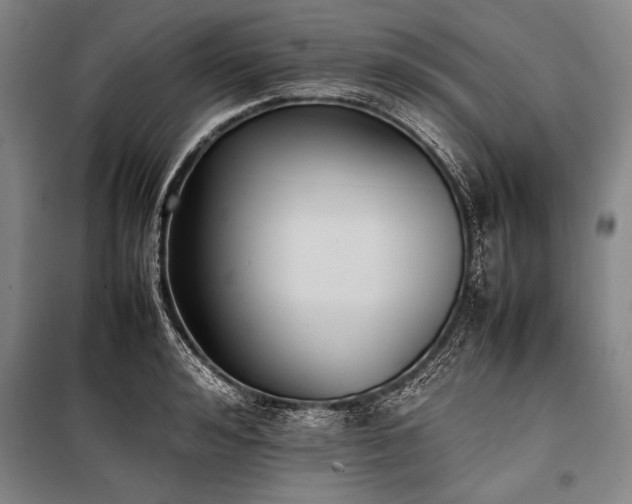 X0000101220992200806271443