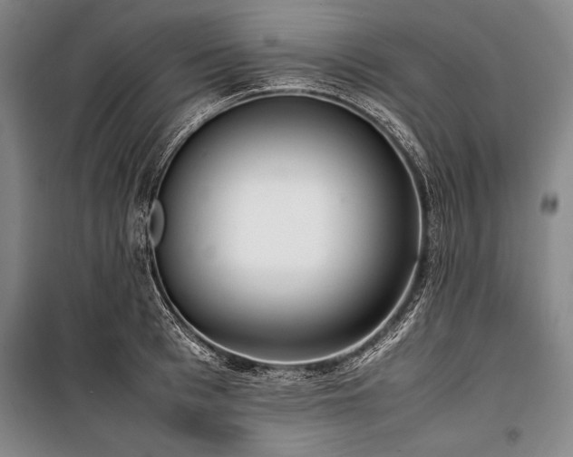 X0000101220993200806271443