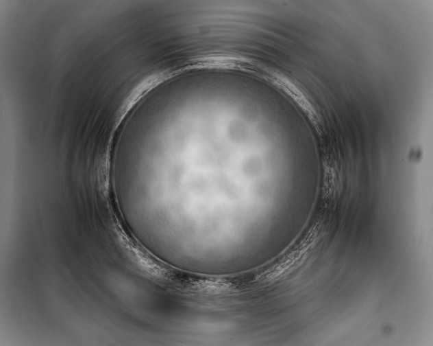 X0000101220994200806271443