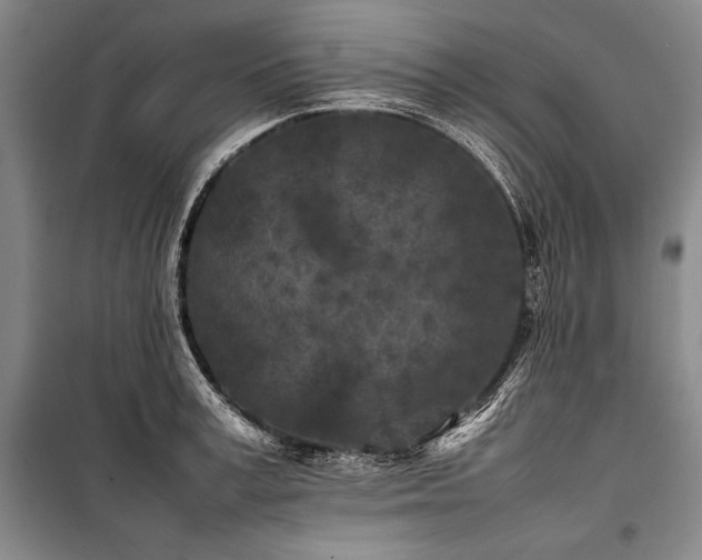 X0000101220995200806271443