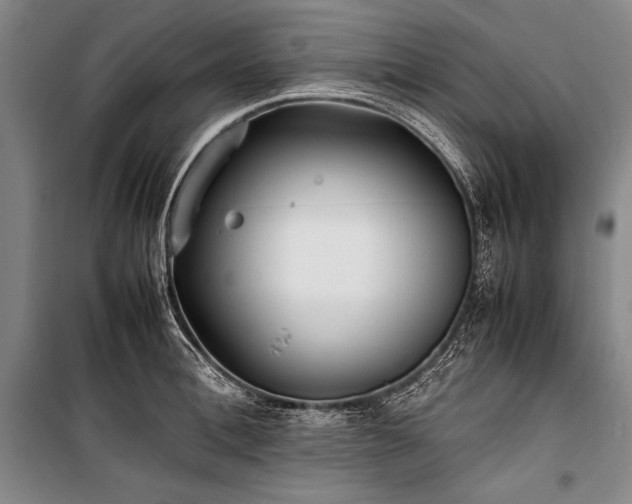 X0000101220996200806271443