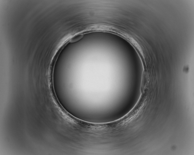 X0000101220997200806271443