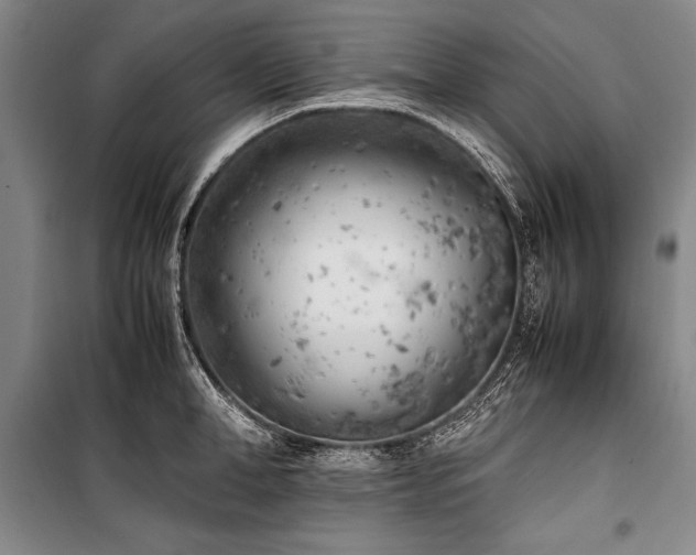 X0000101220998200806271443