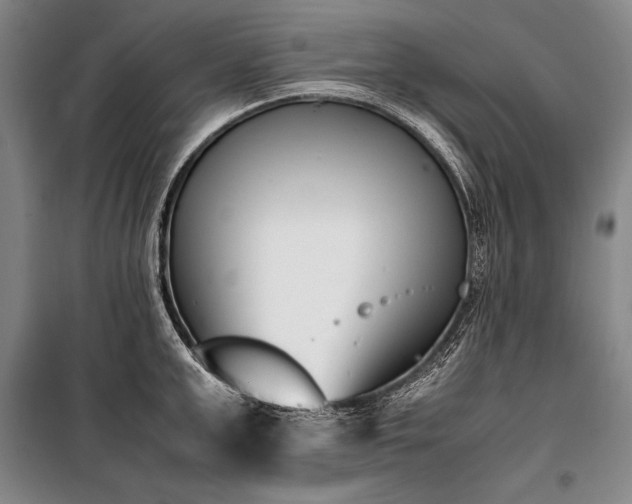 X0000101220999200806271443