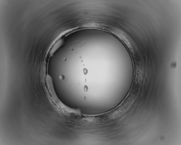 X0000101221000200806271443