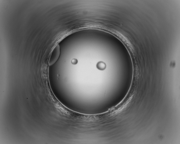 X0000101221001200806271443