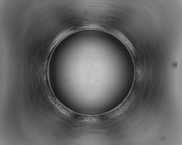X0000101221002200806271443