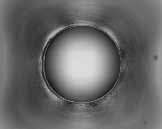 X0000101221003200806271443