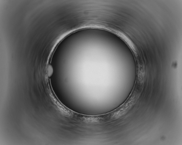 X0000101221004200806271443