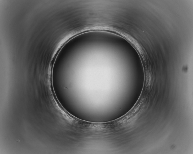 X0000101221006200806271443