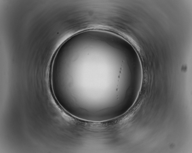 X0000101221007200806271443