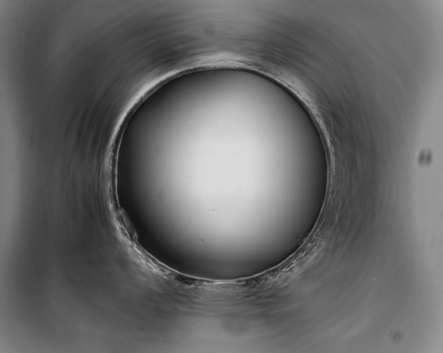 X0000101221008200806271443