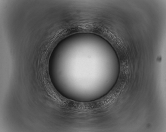 X0000101221009200806271442