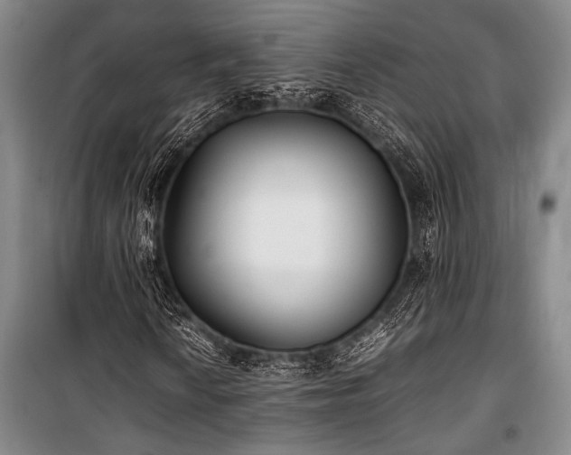 X0000101221010200806271442