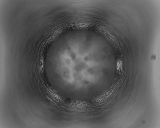 X0000101221011200806271442