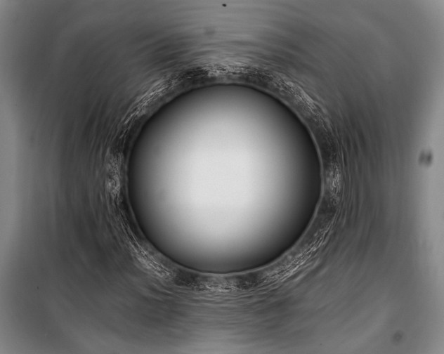 X0000101221012200806271442