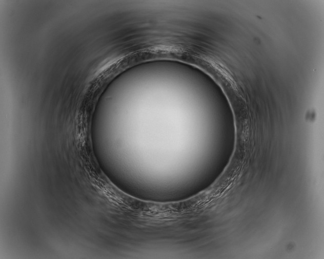 X0000101221015200806271442