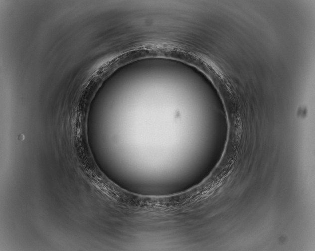 X0000101221016200806271442