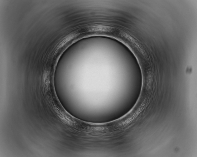 X0000101221017200806271442