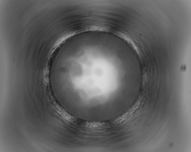 X0000101221019200806271442