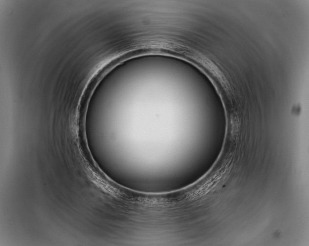 X0000101221020200806271442