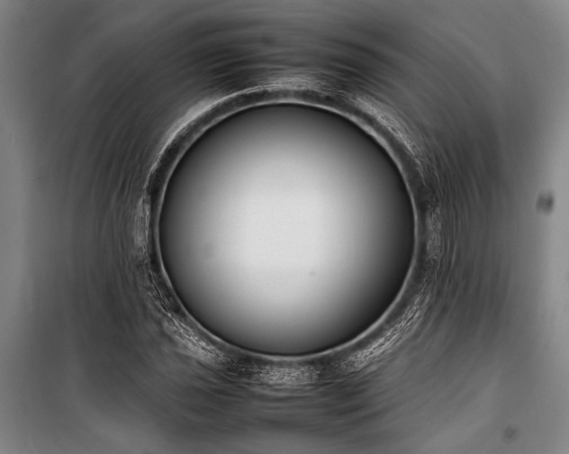 X0000101221021200806271442