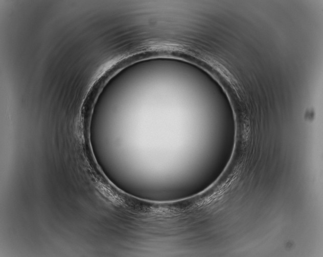 X0000101221022200806271442