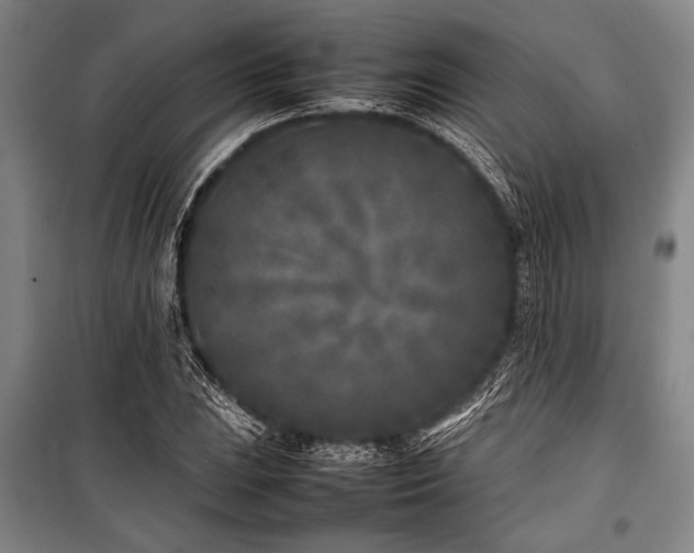 X0000101221023200806271442