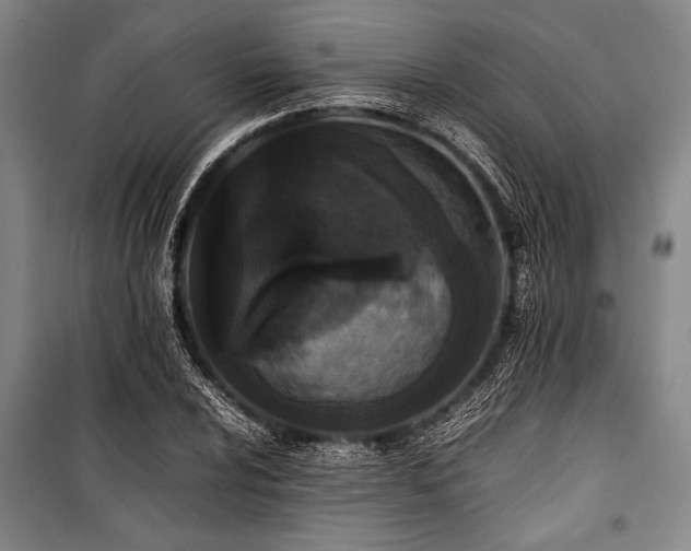 X0000101221024200806271442