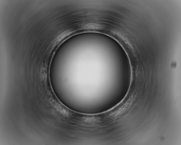 X0000101221025200806271442