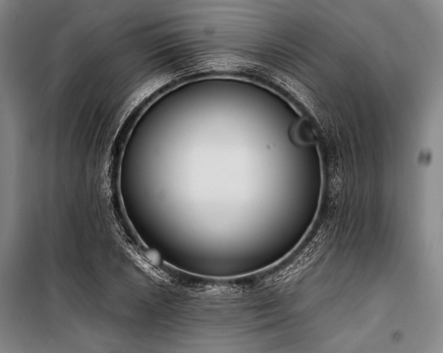 X0000101221026200806271442