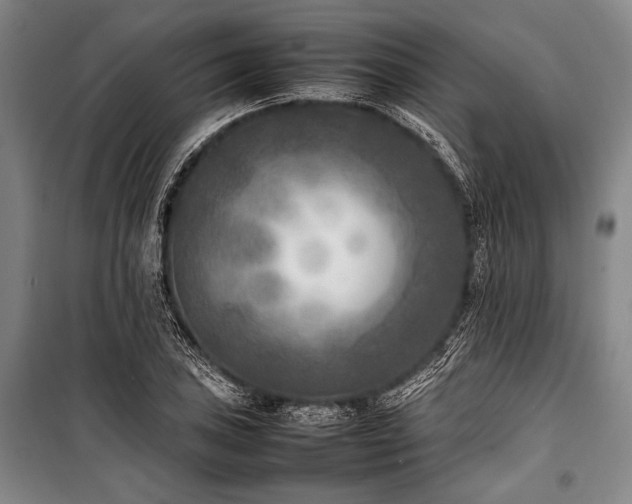 X0000101221027200806271442