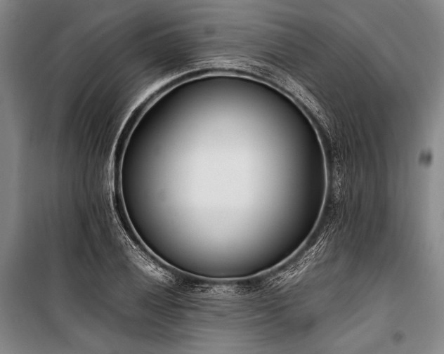 X0000101221028200806271442