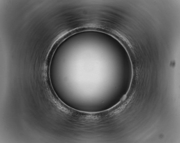 X0000101221029200806271442