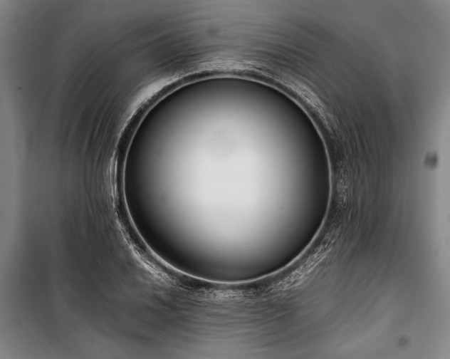 X0000101221030200806271442