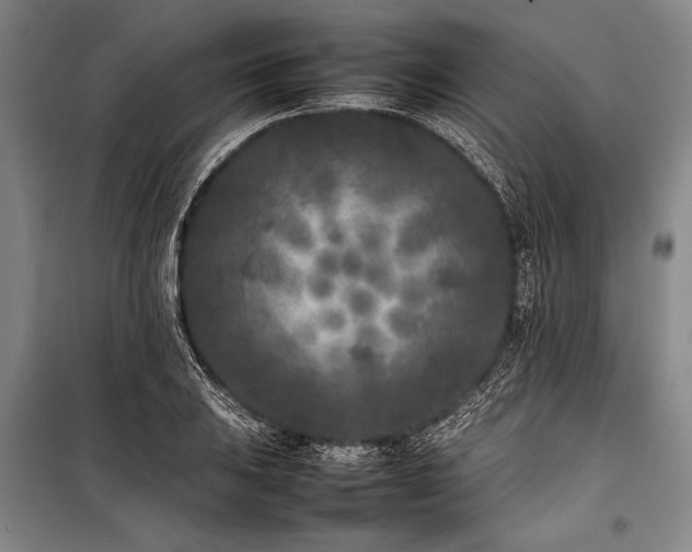 X0000101221031200806271442