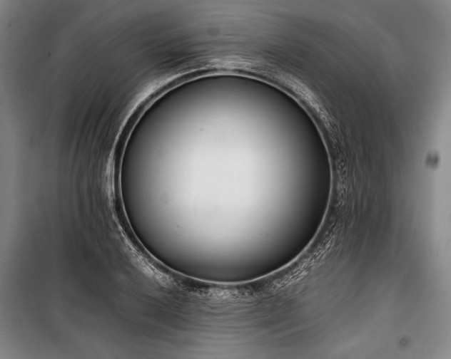 X0000101221032200806271442