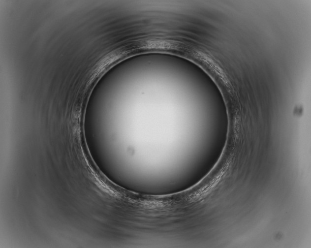 X0000101221033200806271442