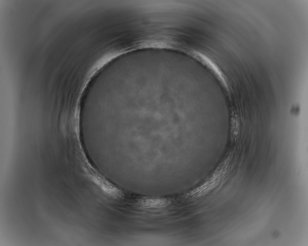 X0000101221035200806271442